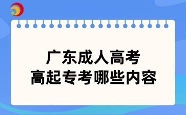 廣東成人高考高起專考哪些內容